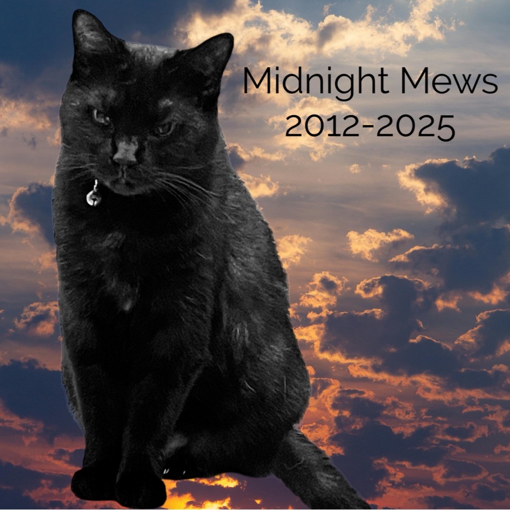 Midnight Mews